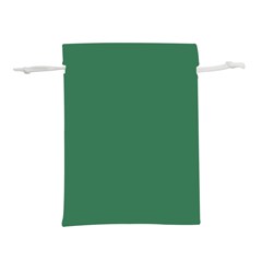 Amazon Green Lightweight Drawstring Pouch (l) by FabChoice