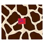 Spring / Summer 2021 Double Sided Flano Blanket (Small)  50 x40  Blanket Front