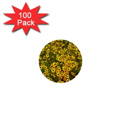 Daisy May 1  Mini Buttons (100 Pack)  by LW323