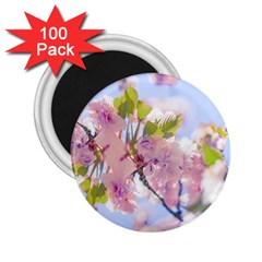 Bloom 2 25  Magnets (100 Pack)  by LW323