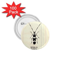 Banded Alder Borer  1 75  Buttons (100 Pack)  by Limerence