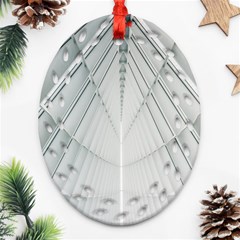 Architecture Building Ornament (oval Filigree) by artworkshop