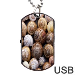 Snail Shells Pattern Arianta Arbustorum Dog Tag Usb Flash (two Sides) by artworkshop