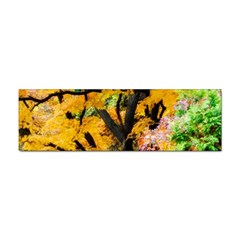 Japan Garden Color Tree Zen Sticker (bumper) by Wegoenart