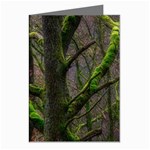 Tree Moss Forest Bark Wood Trunk Greeting Cards (Pkg of 8) Left