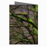 Tree Moss Forest Bark Wood Trunk Greeting Cards (Pkg of 8) Right