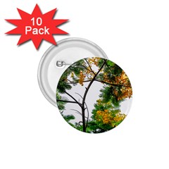Tree Sunlight Forest Nature Landscape Sunrise Fog 1 75  Buttons (10 Pack) by danenraven