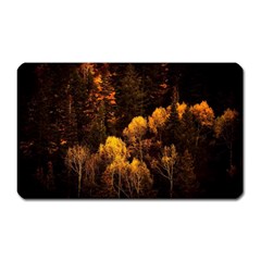 Autumn Fall Foliage Forest Trees Woods Nature Magnet (rectangular) by danenraven