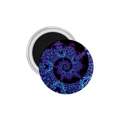 Shay 1 75  Magnets by MRNStudios
