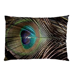 Peacock Pillow Case (two Sides) by StarvingArtisan
