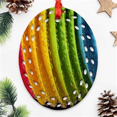  Colorful Illustrations Ornament (oval Filigree) by artworkshop