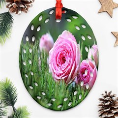 Flowers Oval Filigree Ornament (two Sides) by artworkshop