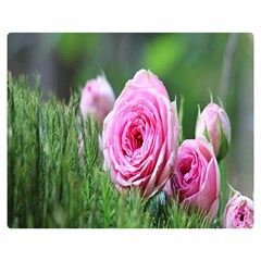 Flowers One Side Premium Plush Fleece Blanket (medium) by artworkshop