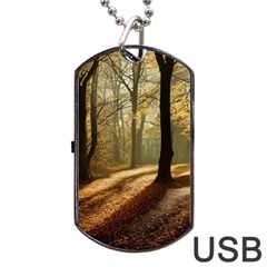 Autumn Nature Woodland Woods Trees Dog Tag Usb Flash (two Sides) by Jancukart