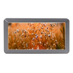 Late Afternoon Memory Card Reader (mini) by artworkshop