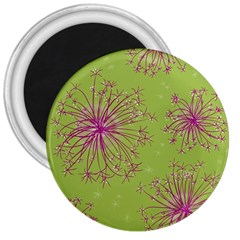 Dandelion Flower Background Nature Flora Drawing 3  Magnets by Pakjumat