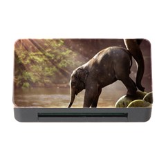 Baby Elephant Watering Hole Memory Card Reader With Cf by Sarkoni