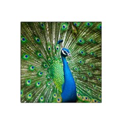 Peafowl Peacock Satin Bandana Scarf 22  X 22  by Sarkoni
