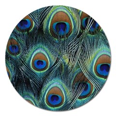 Feathers Art Peacock Sheets Patterns Magnet 5  (round) by Ket1n9