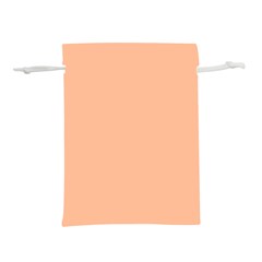 Peach Fuzz 2024 Lightweight Drawstring Pouch (m) by dressshop