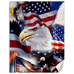 United States Of America Images Independence Day Canvas 12  X 16  by Ket1n9
