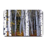 White Birch Trees Autumn Small Doormat 24 x16  Door Mat