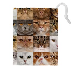 Breeds Of Cats Collage Drawstring Pouch (4xl) by kyorashop23