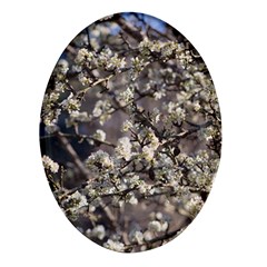 Pear Tree In Full Bloom Oval Glass Fridge Magnet (4 Pack) by ExtraAwesomeSauce