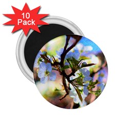Springtime Pear Tree Blossoms 2 25  Magnets (10 Pack)  by ExtraAwesomeSauce