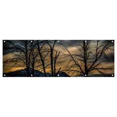 Tree Silhouette At Border Of Nahuel Haupi Lake, Rio Negro, Argentina Banner And Sign 12  X 4  by dflcprintsclothing