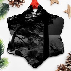 Los Alerces National Park Waterfront Landscape, Argentina002 Ornament (snowflake) by dflcprintsclothing