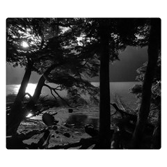 Los Alerces National Park Waterfront Landscape, Argentina002 Premium Plush Fleece Blanket (small) by dflcprintsclothing