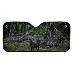 Meadow Landscape, Los Altares, Chubut Province, Argentina Car Windshield Sunshade by dflcprintsclothing