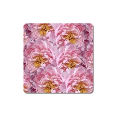 Peonies Nature Bloom Blossom Pink Square Magnet by Tsamara