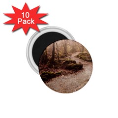 Path Trees Forest Fantasy 1 75  Magnets (10 Pack)  by Anend